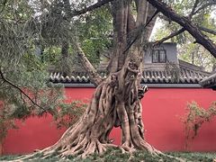 -成都武侯祠博物馆