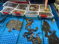 -美达尔烧烤(大尧三路店)