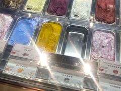 -iceason爱茜茜里·意大利健康冰淇淋(骑龙巷店)