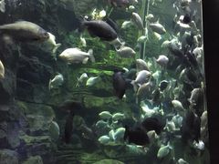 -成都浩海立方海洋公园