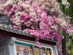 -深圳国际园林花卉博览园