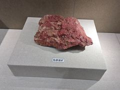 -北京中医药大学-中医药博物馆