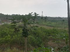 -侯臣咖啡文化村