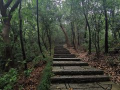 -杭州半山国家森林公园