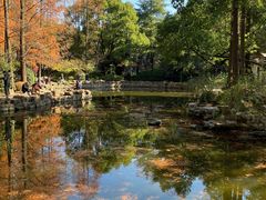 -人民公园-相亲角