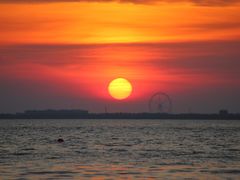 -湖南东洞庭湖国家级自然保护区