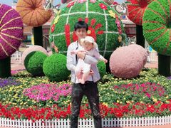 -芜湖白金汉爵大酒店