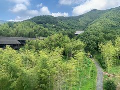 -大唐贡茶院