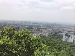 -杭州半山国家森林公园