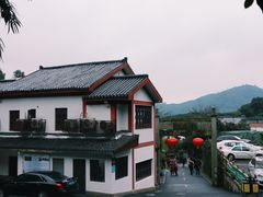 -龙井村
