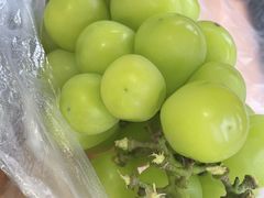 -尚客优悦酒店(成都龙泉驿都中路航天城店)