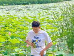 -丁香湖公园