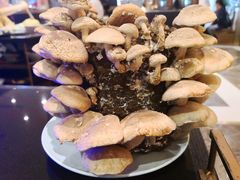 -捞神汤物料理(正大广场店)
