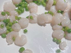 -吉士·星座 JISHI CONSTELLATION(新天地店)