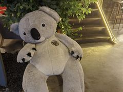 -了不起的考拉咖啡店(高新店)