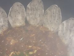 -地锅公社·现炒地锅鸡·地锅鱼·夜宵(罗锦路店)