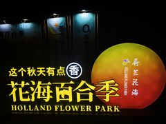 -荷兰花海