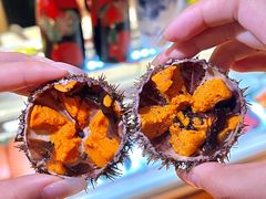 -原志优秀食材·匠心料理·海胆主题(金亿广场店)