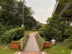 -桤木河湿地公园