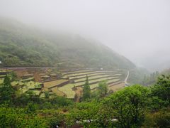 -四明山国家森林公园