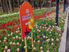 -东平国家森林公园