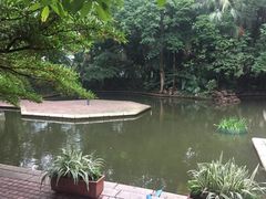 -九龙公园
