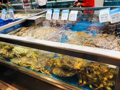 海鲜池&nbsp;帝王蟹-盒马鲜生(大成店)