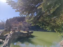 -四明山国家森林公园