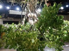 -精绝七日-新疆尼雅遗址数字大展【拉法耶文化艺术中心】