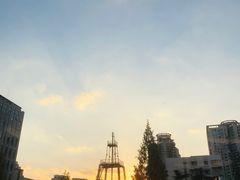 -徐家汇天主堂