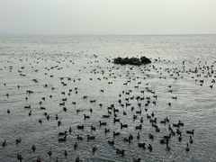 -深圳湾公园(南山区)