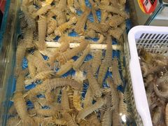 -旺角小渔村(幸福中路店)