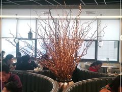 -禾珍珠家常小馆(河南博物院店)