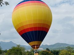 -中国科学院西双版纳热带植物园