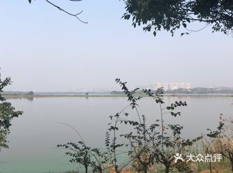 周末好去处之后官湖湿地公园
