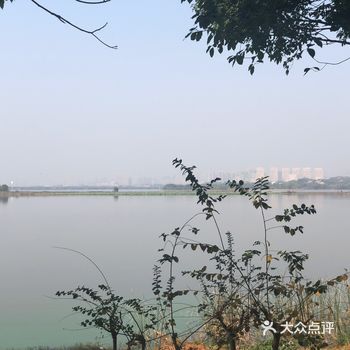 周末好去处之后官湖湿地公园