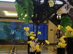 -碧桂园凤凰城酒店(南京店)