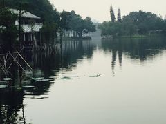 -红山村