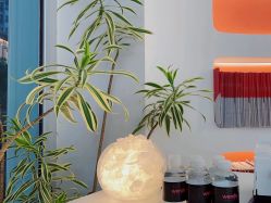 -WENDY·温迪皮肤管理