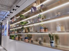 -CoCo都可(360丰产店)
