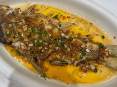 -龙悦湾酒家·八阵鱼生·渔人码头店