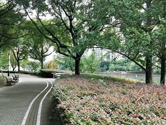 -苏州河梦清园环保主题公园