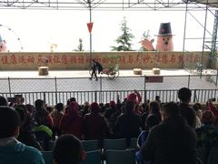 -东方熊牧场