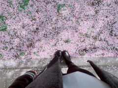 -长安大学(北校区)