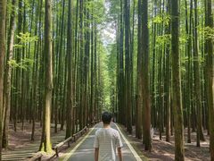 -山王坪喀斯特国家生态公园
