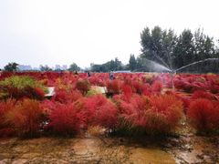 -汉长安城未央宫国家考古遗址公园