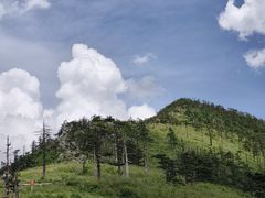 -朱雀国家森林公园