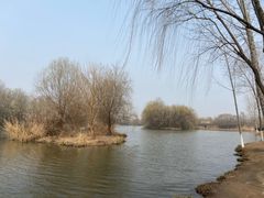 -西安浐灞国家湿地公园