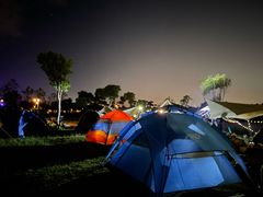 -春花秋色城市公园