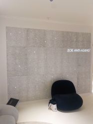 -紫御国际抗衰ZOE ANTI AGING